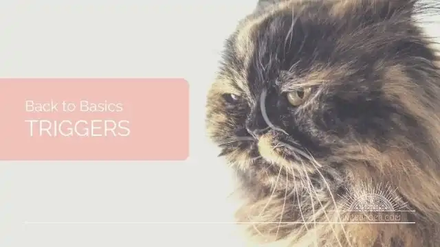 Go to our video about triggers.